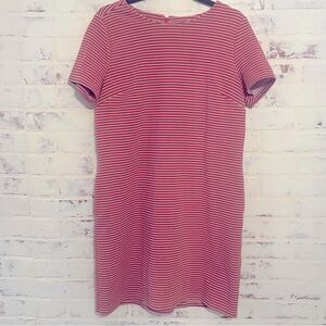 Ann Taylor Shift Dress